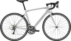 2021 Cannondale CAAD Optimo 4 Race Bike In Silver